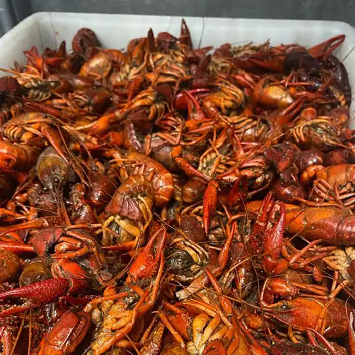 Crawfish ready for cooking